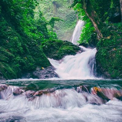 清洗者日记手游下载