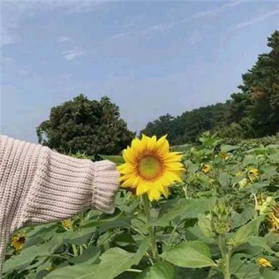 改造连接游戏下载